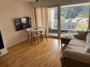 Bjelašnica mountain view apartment